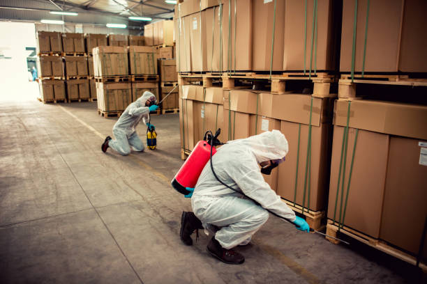 Best Termite Control Services  in Nsfield Center, MA
